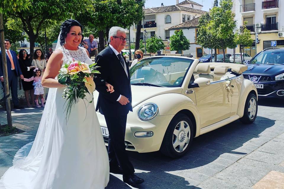 Beetle Love Bodas