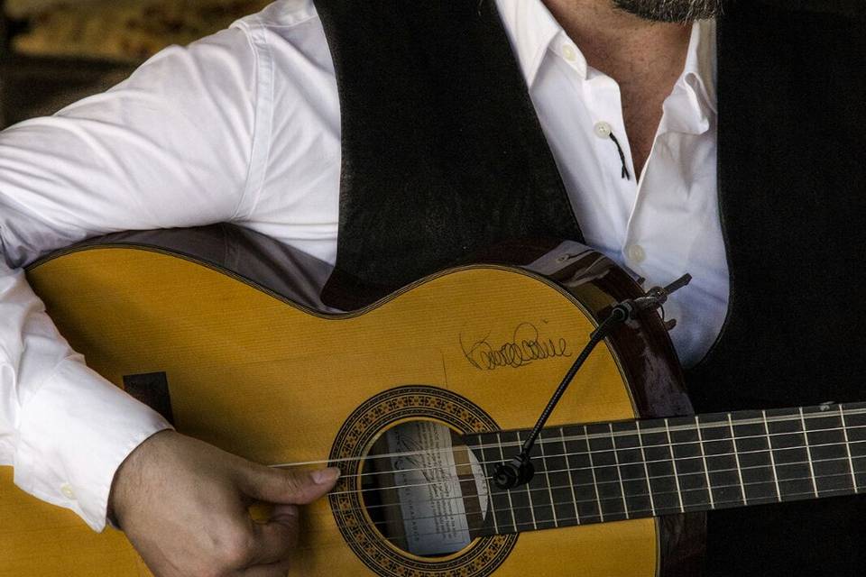 Alejandro, guitarra y voz