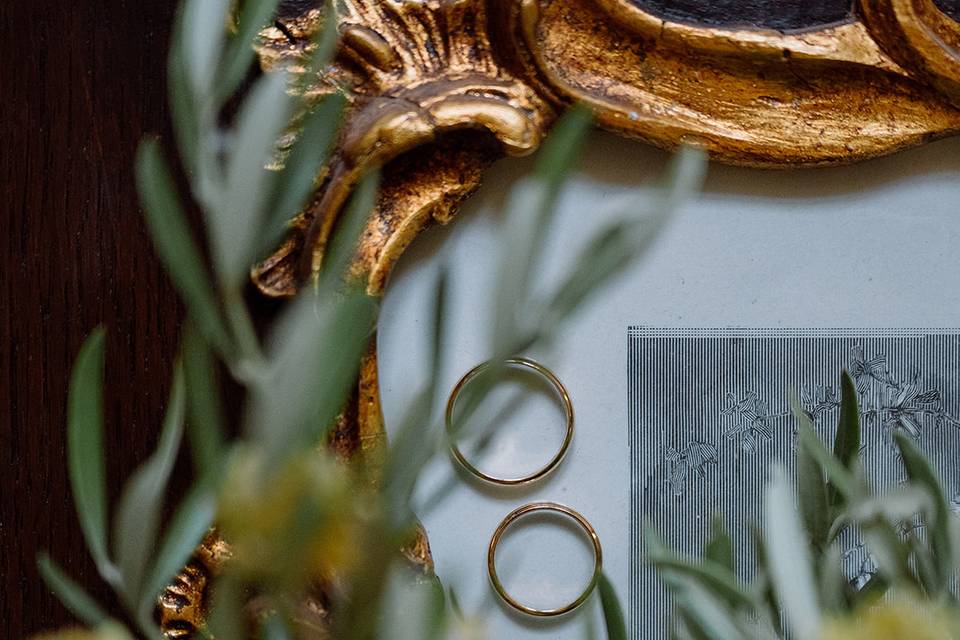 Anillos