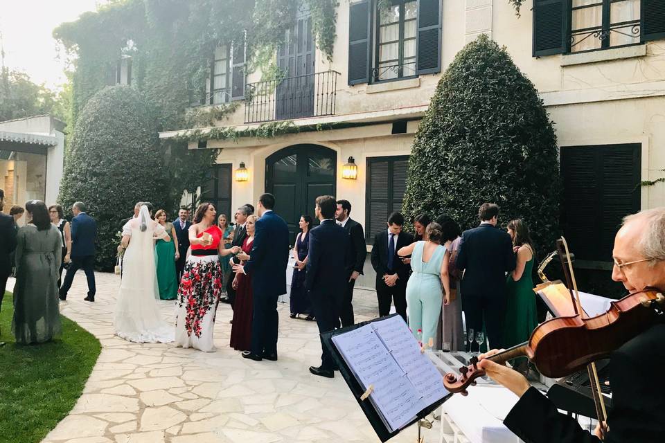 Música para bodas de élite