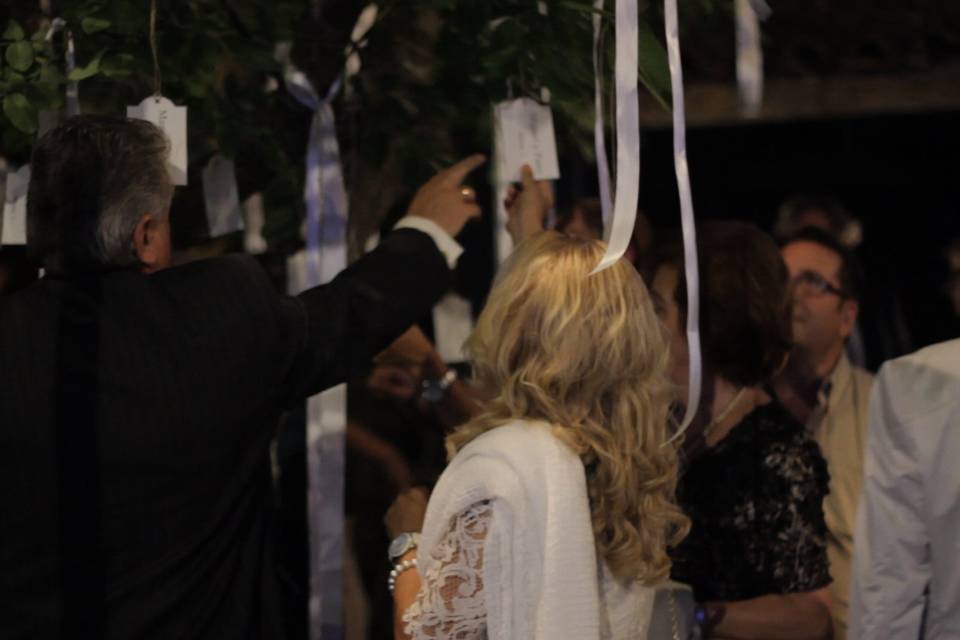 Boda en jardín