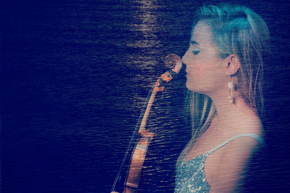 Violin & the sea