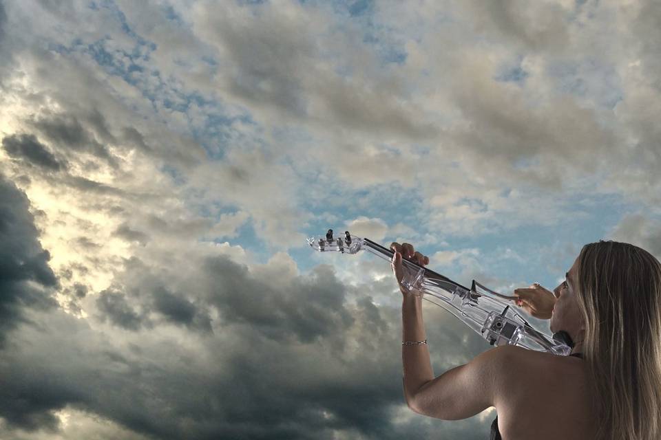 Violin & the sky