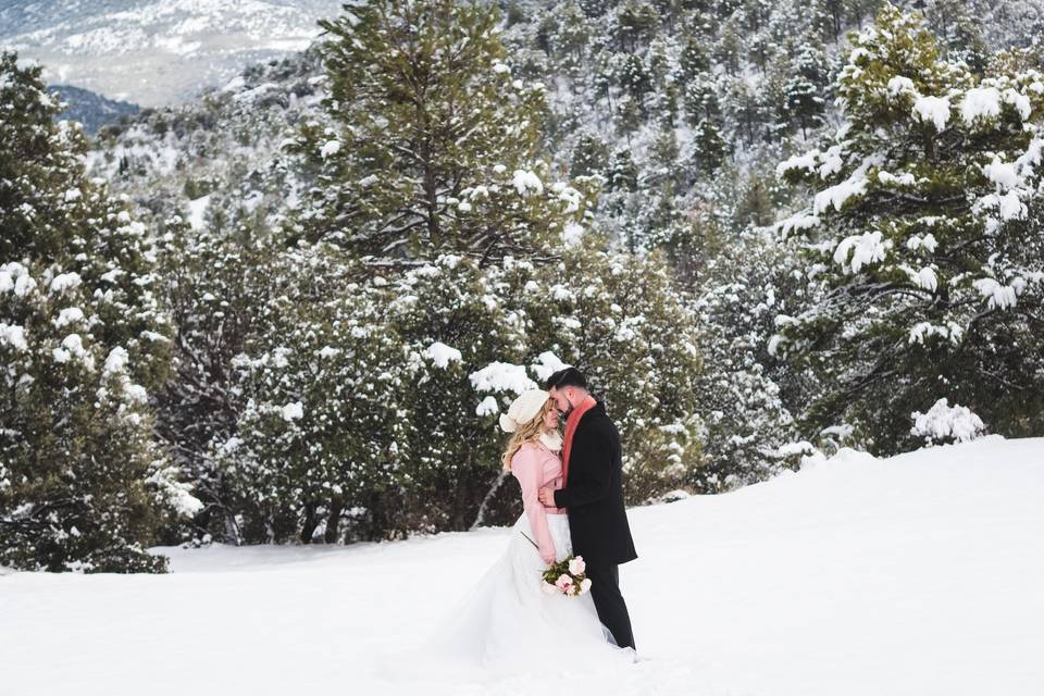 Postboda en la nieve