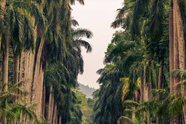 Jardín Botánico