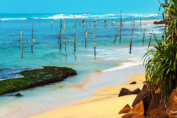 Pescadores zancudos