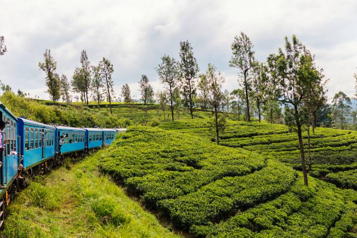 Ruta en tren