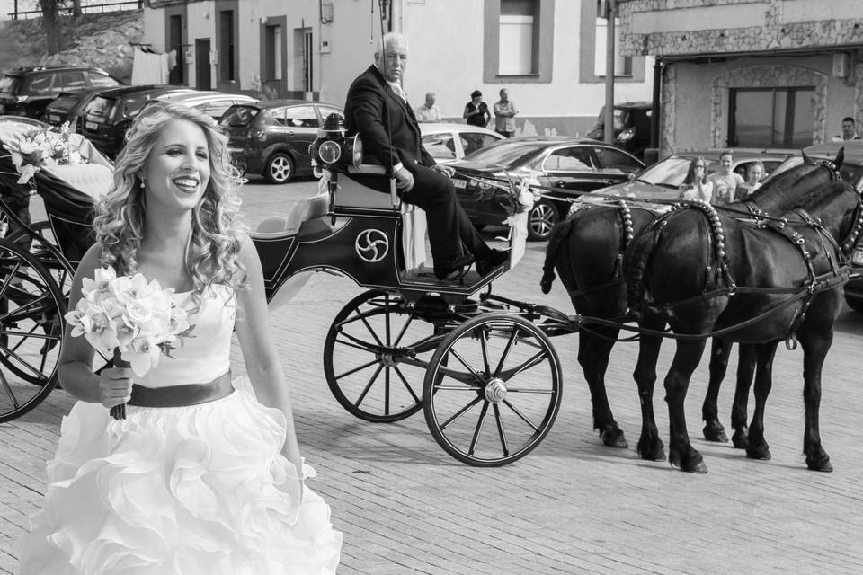 Detalles del coche de caballos