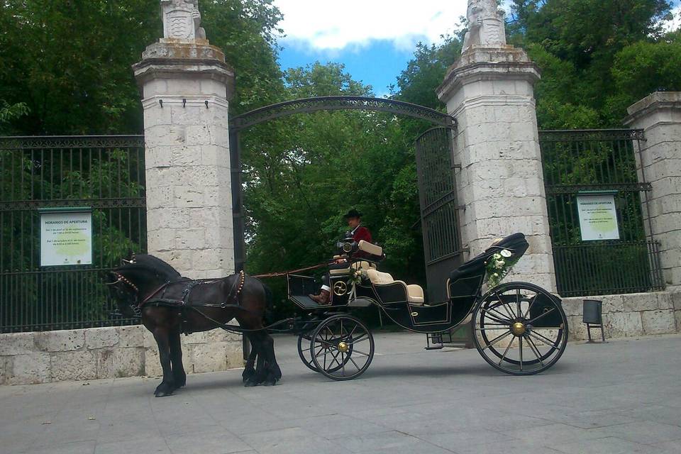 Carruajes Cañaveral