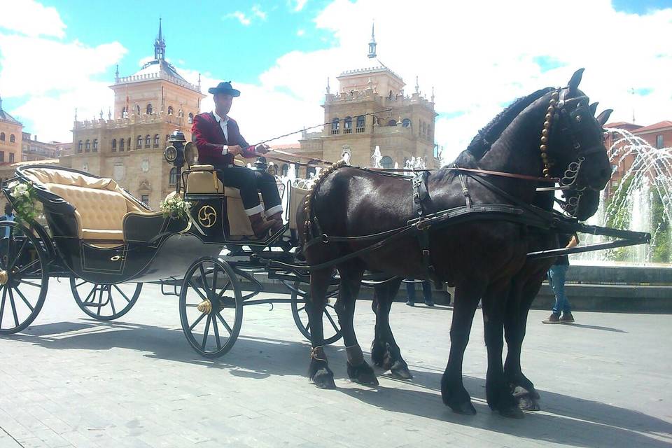 Carruajes Cañaveral