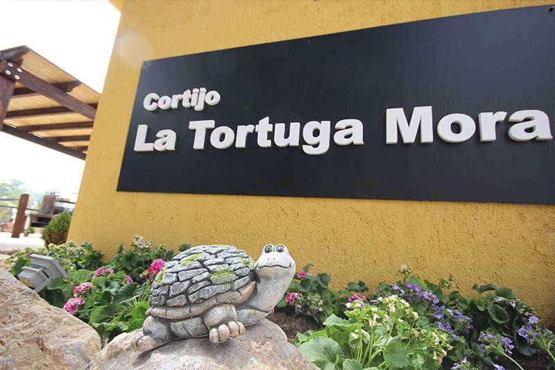 La Tortuga Mora