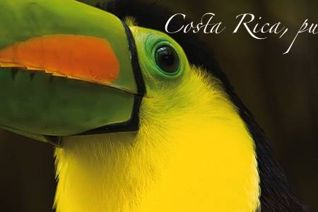 Costa Rica, pura vida.