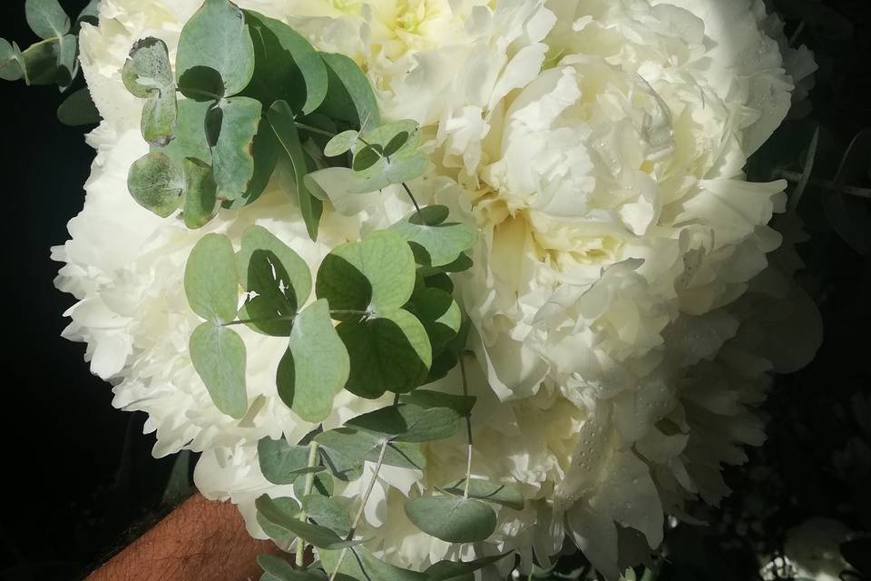 Bouquet de peonias