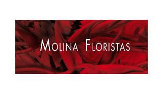 Molina Floristas