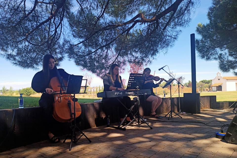 Música para tu Boda Maite Estepa