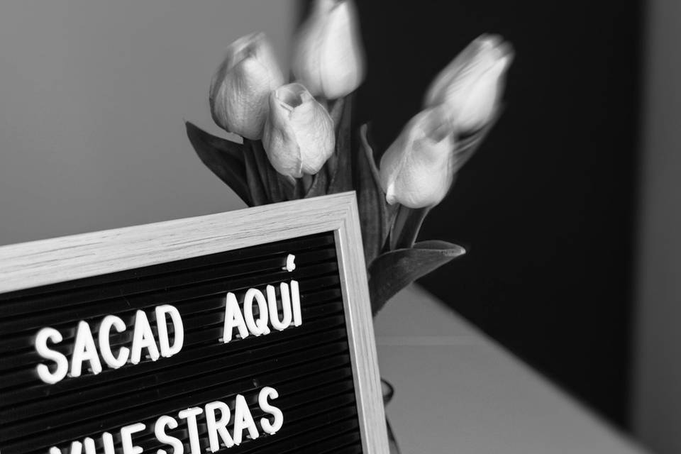 Ilustración en directo