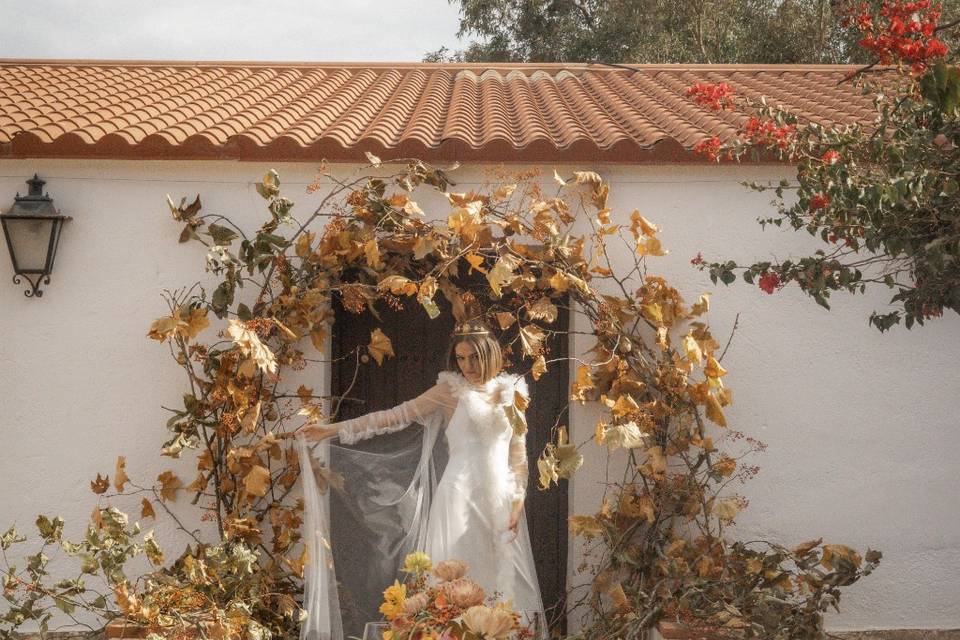 Boda civil en otoño