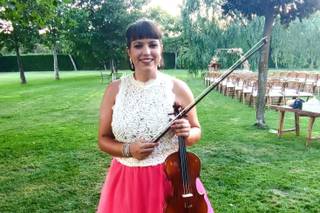Violin Vibes