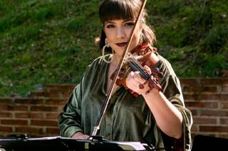 Violin Vibes