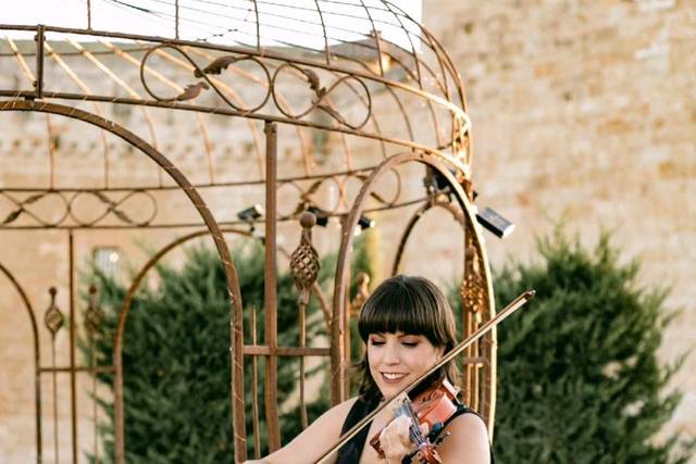 Violin Vibes