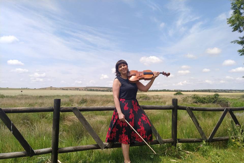 Violín