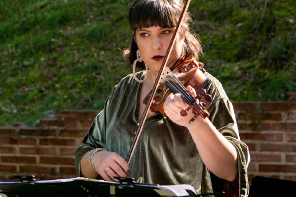 Violin Vibes