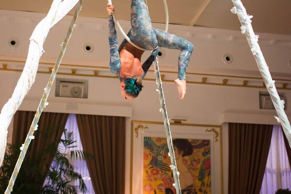 Aerial hoop