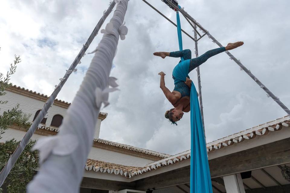 Aerial Silks