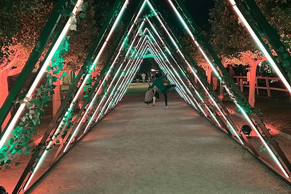 Entrada de boda