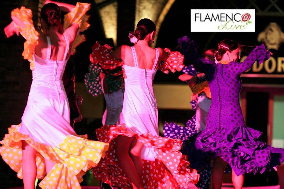 Bailaoras Flamenco