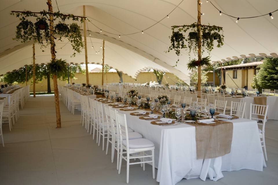 Banquete en carpa