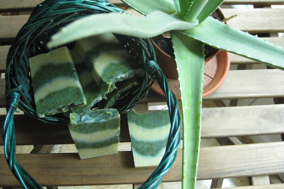 Aloe vera y manteca de karité
