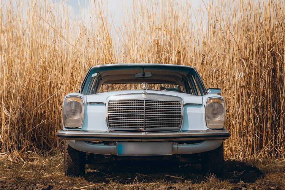 Mercedes W115, 1976