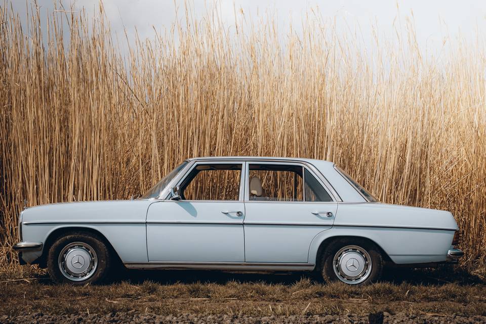 Mercedes W115, 1976