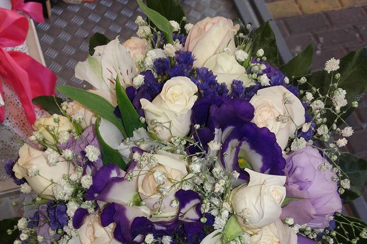 Tonos lilas