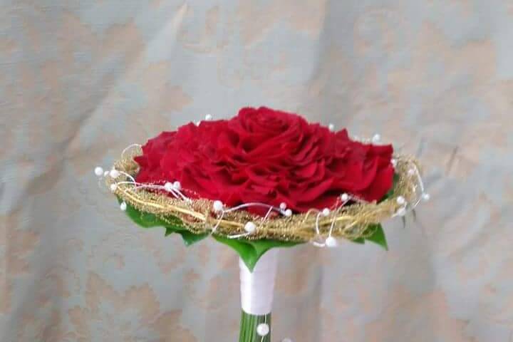 Rosmelia