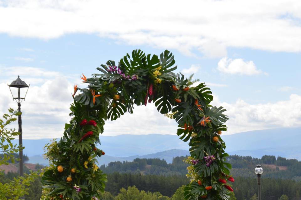 Boda tropical