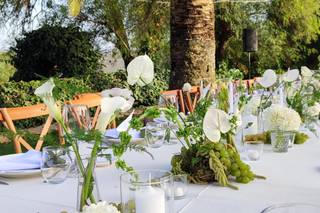 Bacco Estudio Floral