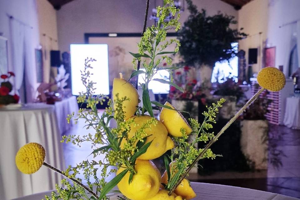 Centro frutal
