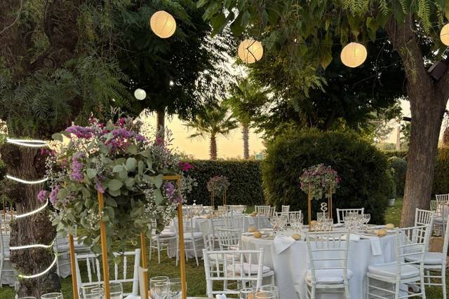 Bodas