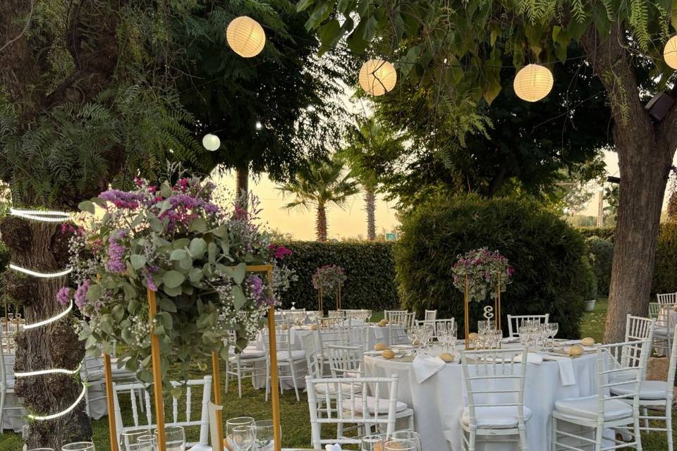 Bodas