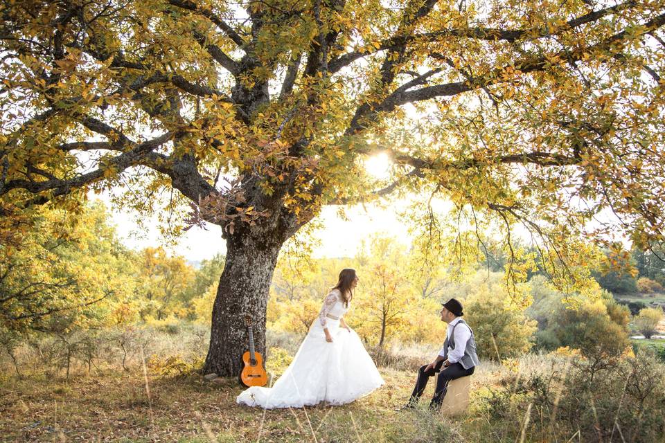 Postboda