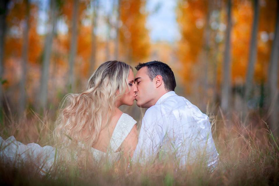 Novios