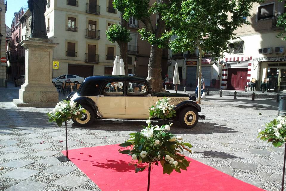 Mi Boda En Clásico