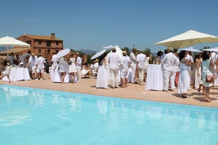 Aperitivo