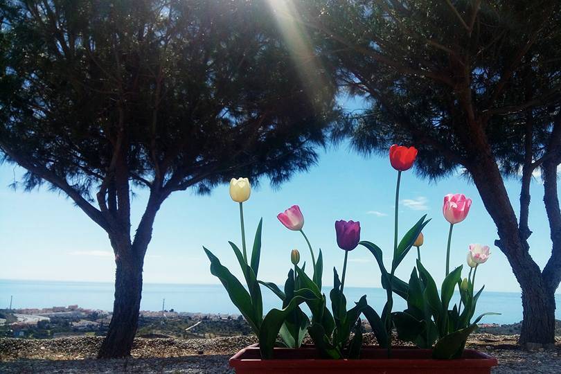 Primavera en Santa Isabel