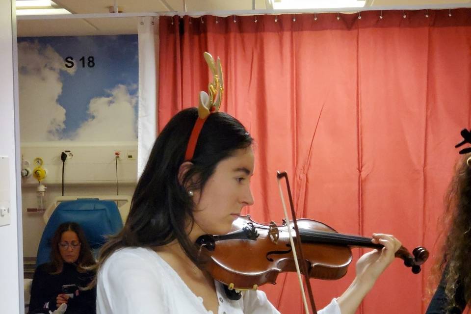 Violín