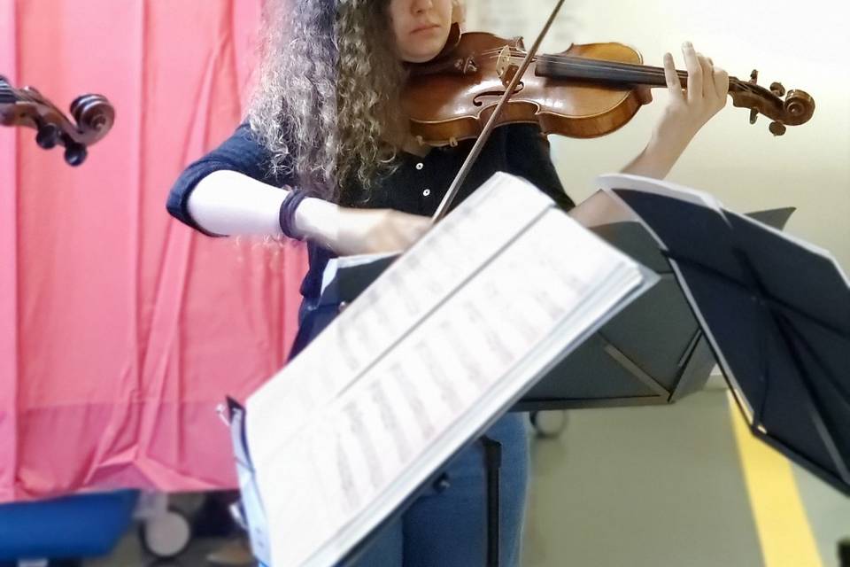 Violín