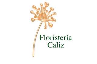 Floristería Cáliz