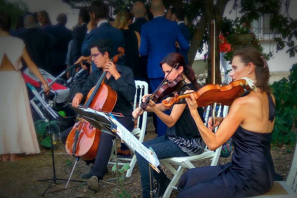 Boda en Finca Santiago